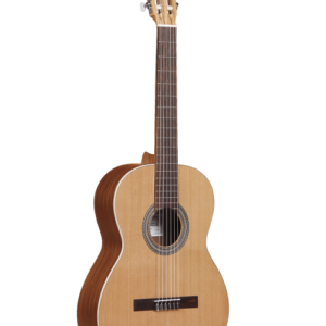 Guitare Nature