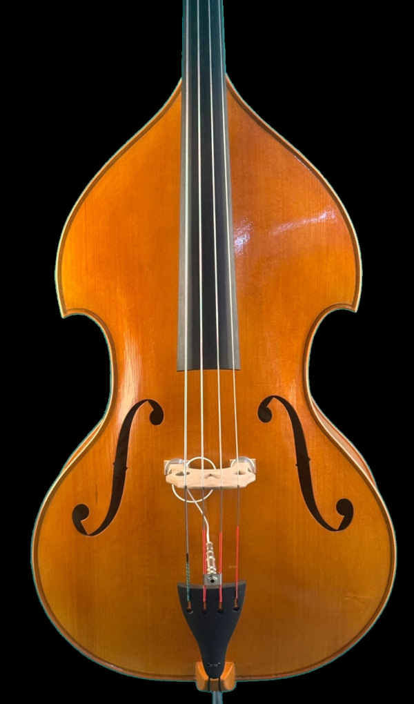 Contrebasse alticelli
